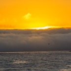central coast fog and sun.jpg