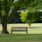 479 Bench Kew Gardens.jpg