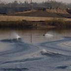 River Race 2011 (12 of 16).jpg