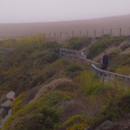central coast CA beach path.jpg