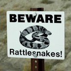 Beware Rattlesnakes.jpg