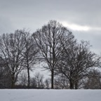 winter scenes (2 of 3).jpg